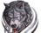 cropped wolf.png